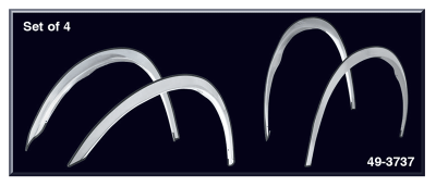 Polished Stainless Steel Fender Trim